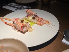 新西兰海鳌虾-YUAN·䬧