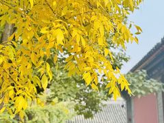 -承恩寺
