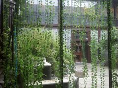 -留芳·文旅古月楼(老街店)