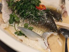 -山水茶艺馆·点心粤菜·30年老字号