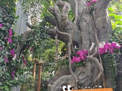 -郑州植物园