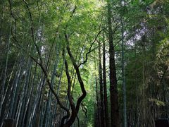 -同里国家湿地公园