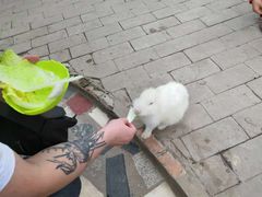 -荆州中山公园动物园