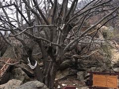 -达古峡谷风景区