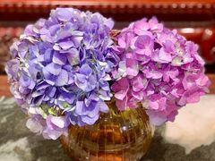 -寻味顺德·顺峰山庄(大良店)