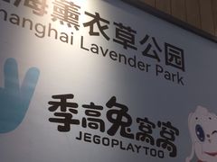 -季高兔窝窝亲子园(上海薰衣草公园店)
