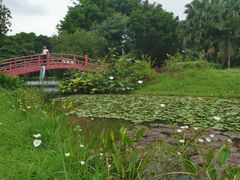 -东莞植物园