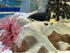 -湘江欢乐城欢乐雪域
