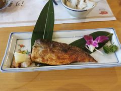 -天正河鲀·河豚亭(大连店)