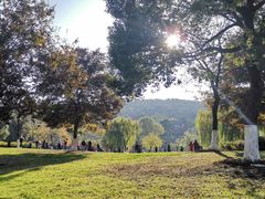 -虞山风景区