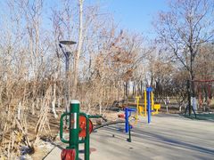 -大兴滨河森林公园