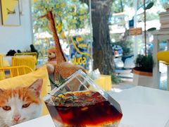 岛-五进制 Coffee Shop