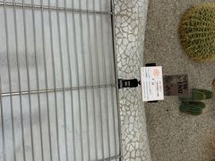 -OUR Bakery(SKP-S店)