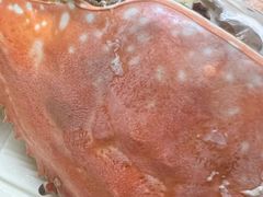 -开海·红岛海鲜虾水饺(石老人店)