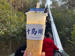 -千岛湖天屿景区