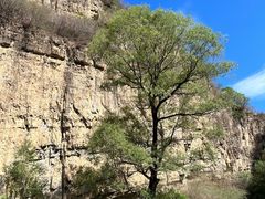 -龙门涧景区