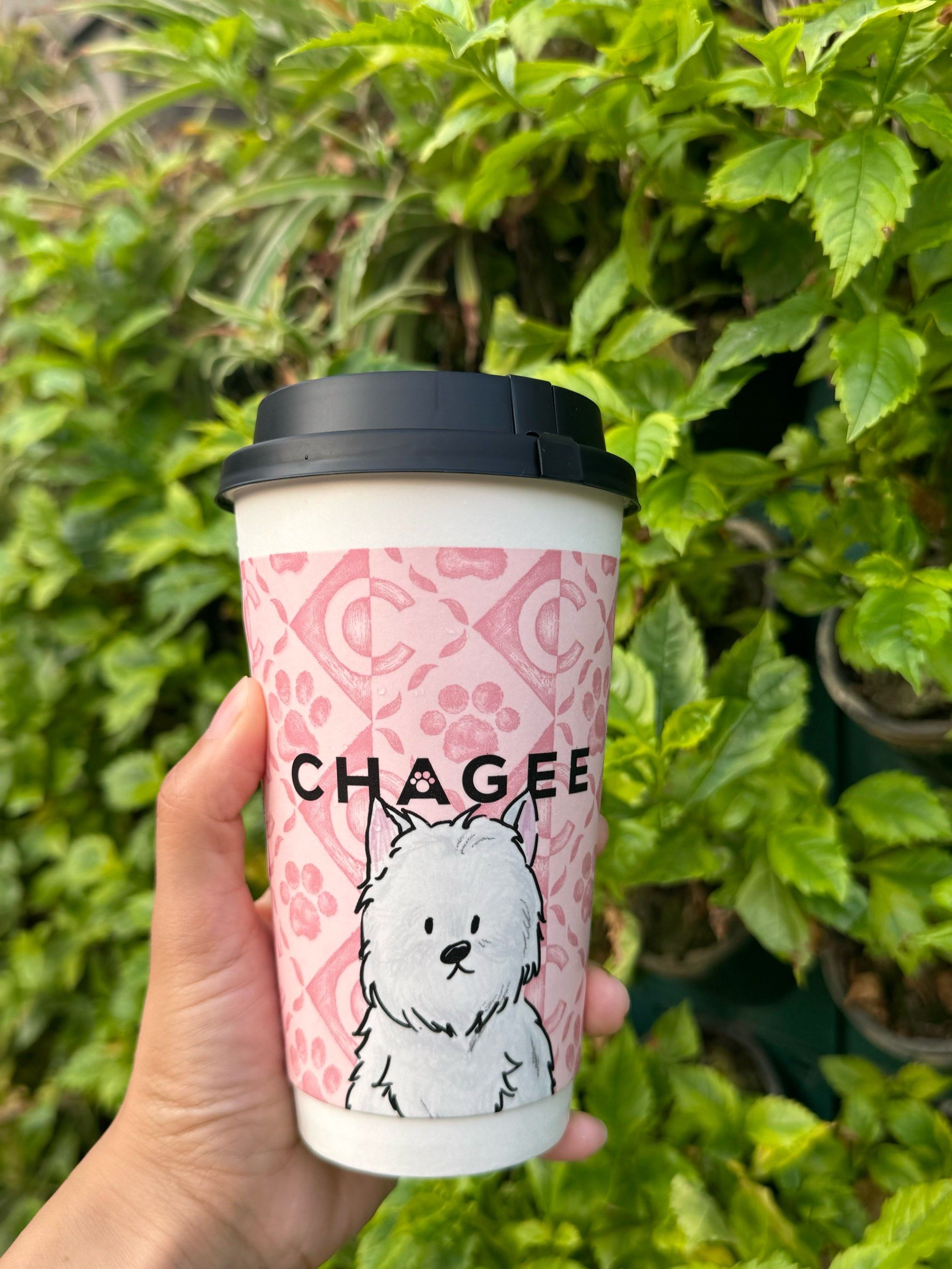 动物萌图奶茶杯免费喝