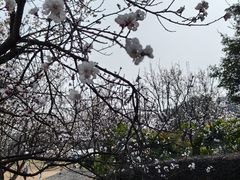 -国际非物质文化遗产博览园