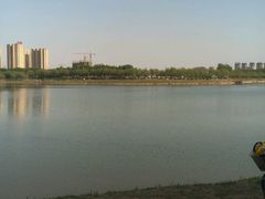 -丁香湖公园
