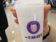 -一只酸奶牛(八一路店)