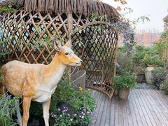 -大隐花事(熊婆婆的花园店)