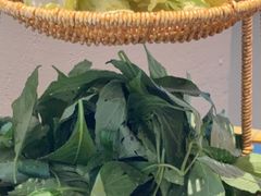 -华冠悠岚·庭院餐厅(青城后山店)