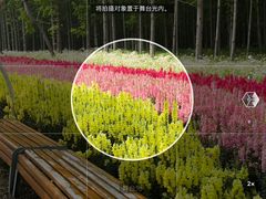 -东平国家森林公园