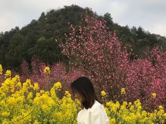 -贵阳市花溪国家城市湿地公园