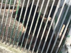 -祥源·阜阳生态乐园