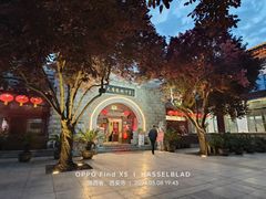 -大慈恩寺(大雁塔)