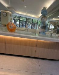 -宝生月子中心·独栋独院式(南山店)