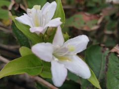 -青岛沙子口国家中心渔港