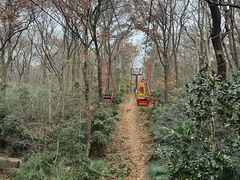 -WeLope紫金山探险公园