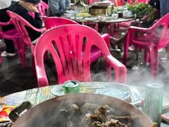 -霞姐屯昌枫木香草鸭店(海螺店)