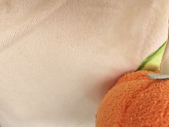 -上海大自然野生昆虫馆(东方明珠·爬宠昆虫探索中心)