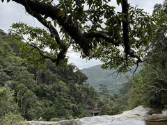 -海南热带雨林国家公园吊罗山景区