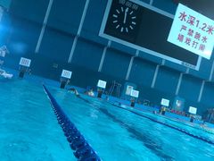 -重庆市奥林匹克体育中心-游泳跳水馆