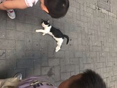 -可莎蜜兒(清吟店)
