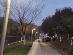 -天鹅湖体育公园