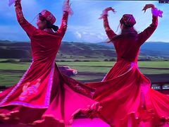 -双公羊·馕坑烤全羊(奥体店)