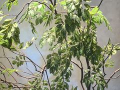 -百富源·海鲜辽菜(张士店)