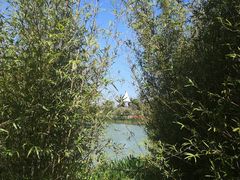 -嬉乐湾休闲旅游区