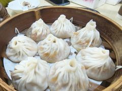 -莱莱小笼·乔艾