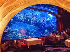 -迪拜帆船酒店海底餐厅