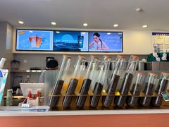 -雾与山茶(大禹城店)