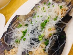 -鸿达渔港