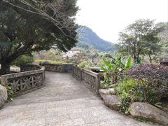 -雁南飞茶田景区
