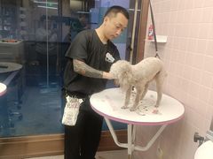 -FAELING PETS美天灵宠物(富力广场店)