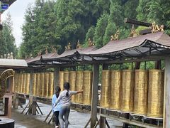 -武陵山森林公园