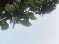 -杭州第一世界大酒店·云曼温泉